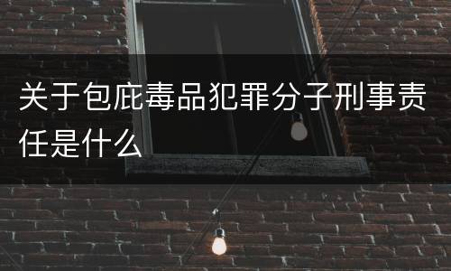 关于包庇毒品犯罪分子刑事责任是什么