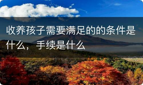 收养孩子需要满足的的条件是什么，手续是什么