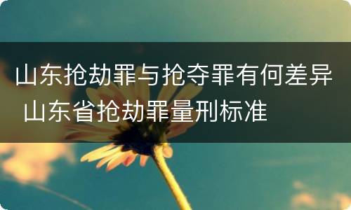 山东抢劫罪与抢夺罪有何差异 山东省抢劫罪量刑标准