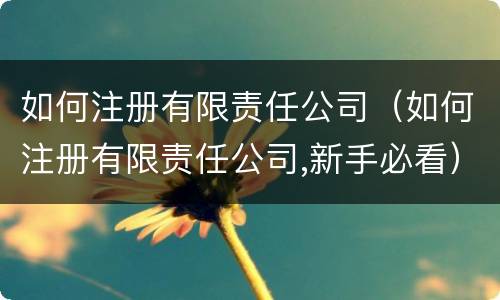 如何注册有限责任公司（如何注册有限责任公司,新手必看）