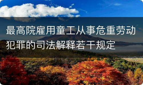 最高院雇用童工从事危重劳动犯罪的司法解释若干规定