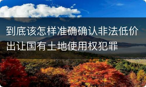 到底该怎样准确确认非法低价出让国有土地使用权犯罪