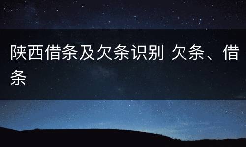 陕西借条及欠条识别 欠条、借条