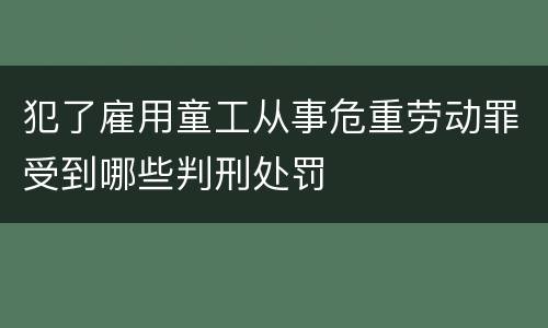 犯了雇用童工从事危重劳动罪受到哪些判刑处罚