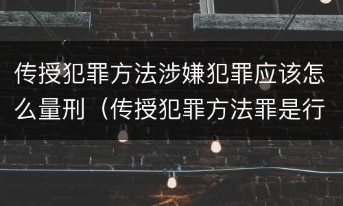 传授犯罪方法涉嫌犯罪应该怎么量刑（传授犯罪方法罪是行为犯吗）