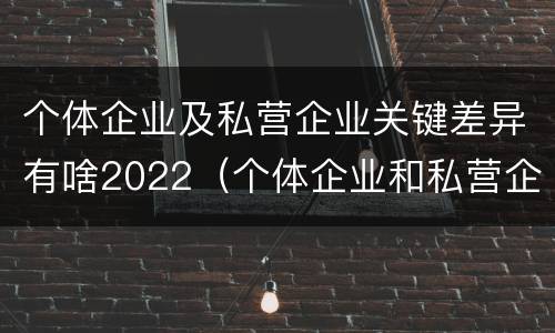 个体企业及私营企业关键差异有啥2022（个体企业和私营企业有什么区别）