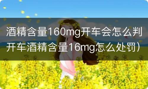 酒精含量160mg开车会怎么判（开车酒精含量16mg怎么处罚）