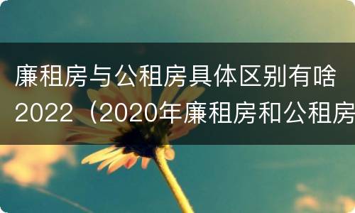 廉租房与公租房具体区别有啥2022（2020年廉租房和公租房的区别）