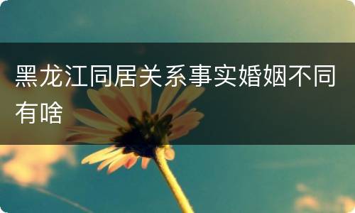 黑龙江同居关系事实婚姻不同有啥