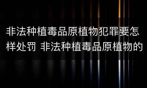 非法种植毒品原植物犯罪要怎样处罚 非法种植毒品原植物的处罚