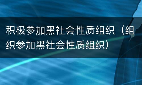 积极参加黑社会性质组织（组织参加黑社会性质组织）
