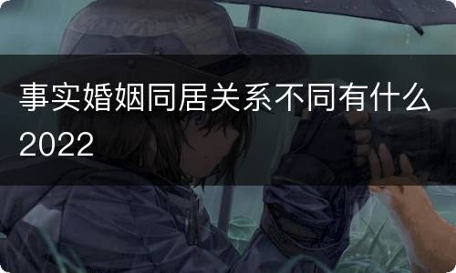 事实婚姻同居关系不同有什么2022