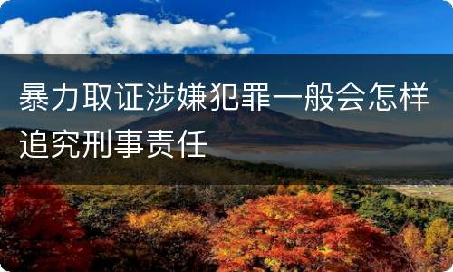 暴力取证涉嫌犯罪一般会怎样追究刑事责任