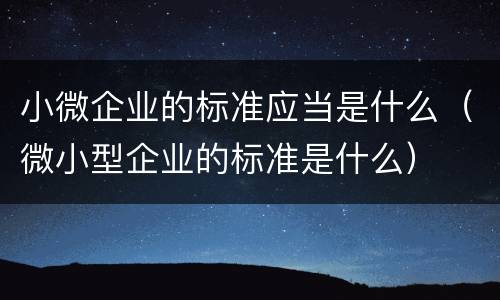 小微企业的标准应当是什么（微小型企业的标准是什么）