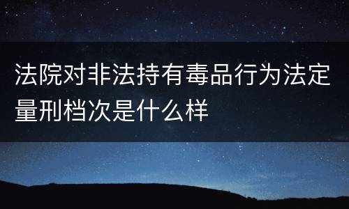 法院对非法持有毒品行为法定量刑档次是什么样