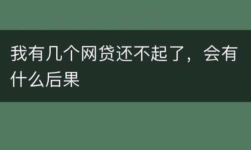 我有几个网贷还不起了，会有什么后果