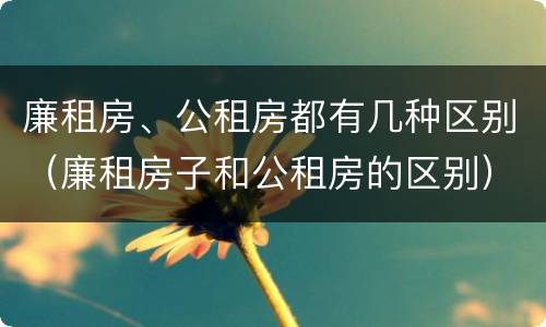 廉租房、公租房都有几种区别（廉租房子和公租房的区别）
