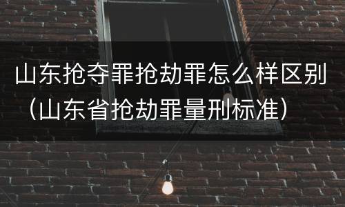山东抢夺罪抢劫罪怎么样区别（山东省抢劫罪量刑标准）