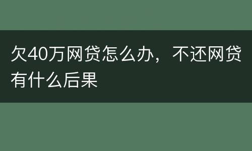 欠40万网贷怎么办，不还网贷有什么后果