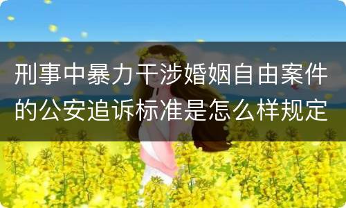 刑事中暴力干涉婚姻自由案件的公安追诉标准是怎么样规定