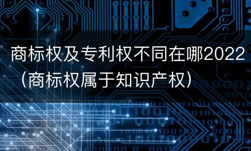商标权及专利权不同在哪2022（商标权属于知识产权）