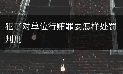 犯了对单位行贿罪要怎样处罚判刑