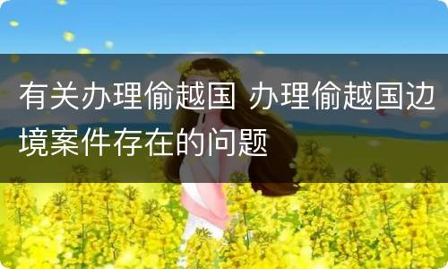 有关办理偷越国 办理偷越国边境案件存在的问题