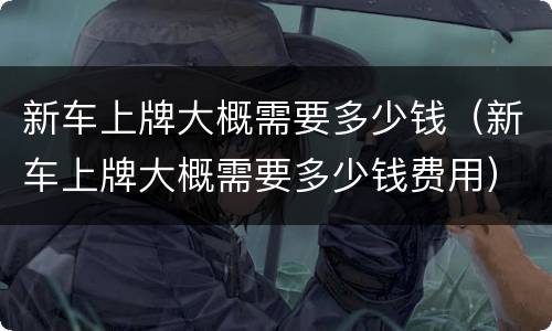 新车上牌大概需要多少钱（新车上牌大概需要多少钱费用）