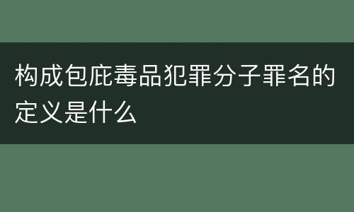 构成包庇毒品犯罪分子罪名的定义是什么