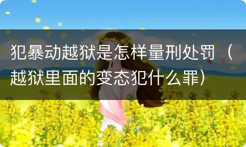 犯暴动越狱是怎样量刑处罚（越狱里面的变态犯什么罪）