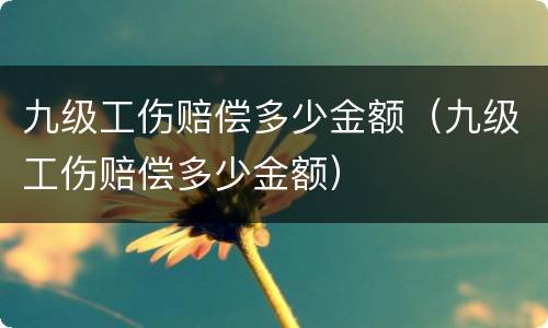 九级工伤赔偿多少金额（九级工伤赔偿多少金额）