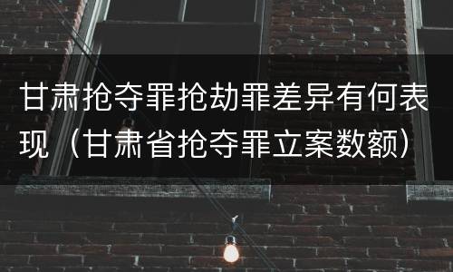 甘肃抢夺罪抢劫罪差异有何表现（甘肃省抢夺罪立案数额）