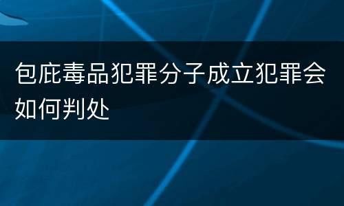 包庇毒品犯罪分子成立犯罪会如何判处