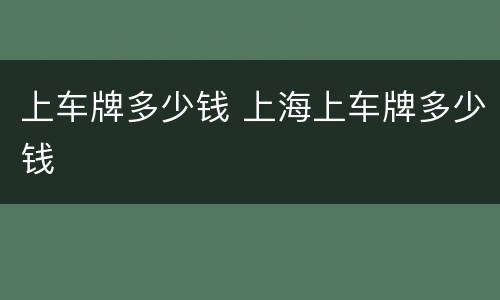 上车牌多少钱 上海上车牌多少钱