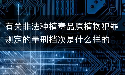 有关非法种植毒品原植物犯罪规定的量刑档次是什么样的