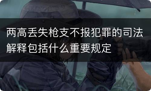 两高丢失枪支不报犯罪的司法解释包括什么重要规定