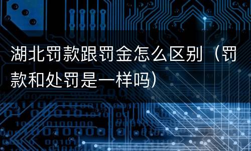 湖北罚款跟罚金怎么区别（罚款和处罚是一样吗）