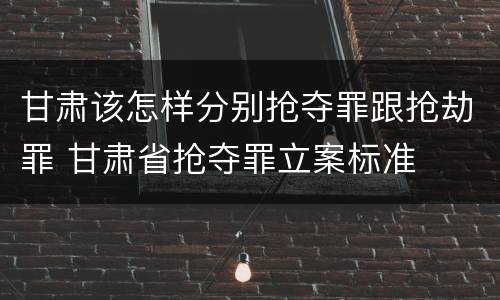 甘肃该怎样分别抢夺罪跟抢劫罪 甘肃省抢夺罪立案标准