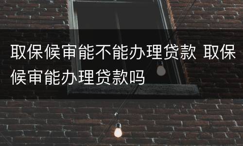 取保候审能不能办理贷款 取保候审能办理贷款吗