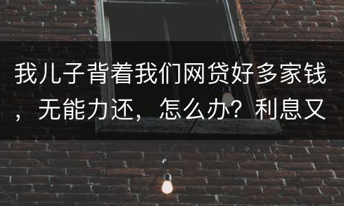 我儿子背着我们网贷好多家钱，无能力还，怎么办？利息又高