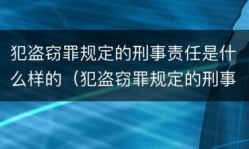 犯盗窃罪规定的刑事责任是什么样的（犯盗窃罪规定的刑事责任是什么样的呢）