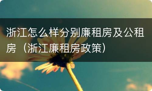 浙江怎么样分别廉租房及公租房（浙江廉租房政策）