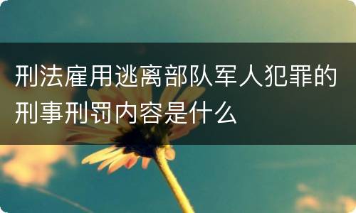 刑法雇用逃离部队军人犯罪的刑事刑罚内容是什么