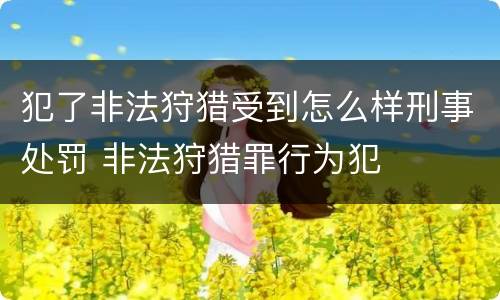 犯了非法狩猎受到怎么样刑事处罚 非法狩猎罪行为犯