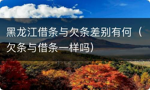 黑龙江借条与欠条差别有何（欠条与借条一样吗）