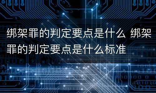 绑架罪的判定要点是什么 绑架罪的判定要点是什么标准