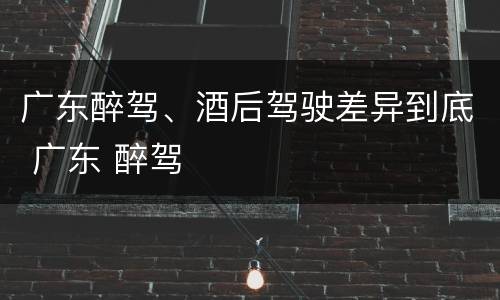 广东醉驾、酒后驾驶差异到底 广东 醉驾