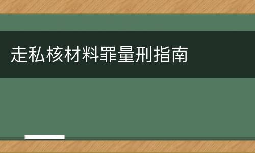 走私核材料罪量刑指南