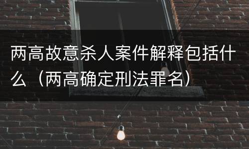 两高故意杀人案件解释包括什么（两高确定刑法罪名）