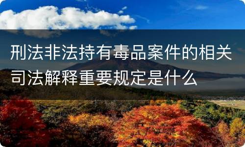 刑法非法持有毒品案件的相关司法解释重要规定是什么
